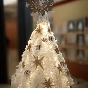 Natječaj za najljepši bor