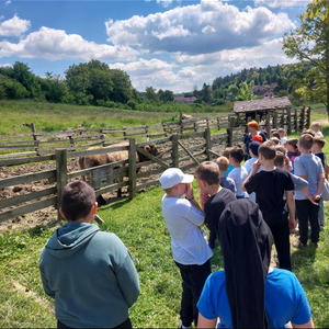 Terenska nastava u grad Varaždin 