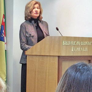 Dvadeset godina plodnoga rada 