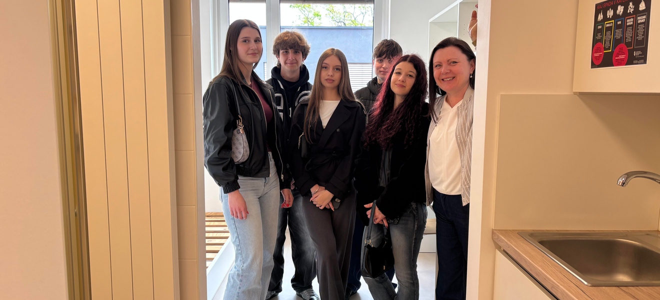 Može li Međimurje biti po uzoru na Ljubljanu ili Beč?¸