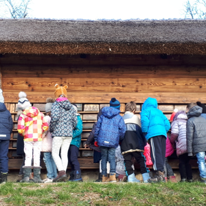 Učenici upoznaju važnost pčelarstva