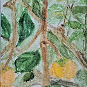 Između opipljivoga i osjećajnoga