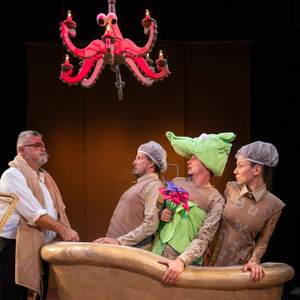 Kad zbrka postane zbirka pjesama Luke Paljetka 