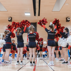 Treba li svaka škola imati psihologa i tko je odgovoran ako ga nema?