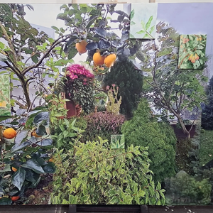 Između opipljivoga i osjećajnoga