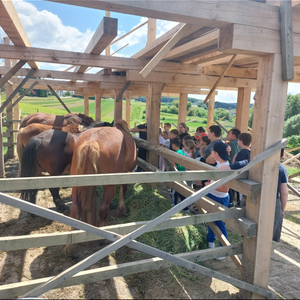 Terenska nastava u grad Varaždin 