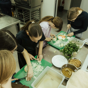 Jedan dan bez virtualnog svijeta