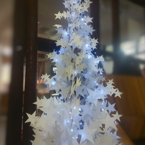 Natječaj za najljepši bor