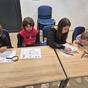 Škola mora biti mjesto veselja, znatiželje i kreativnosti