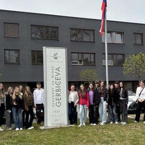 Može li Međimurje biti po uzoru na Ljubljanu ili Beč?¸