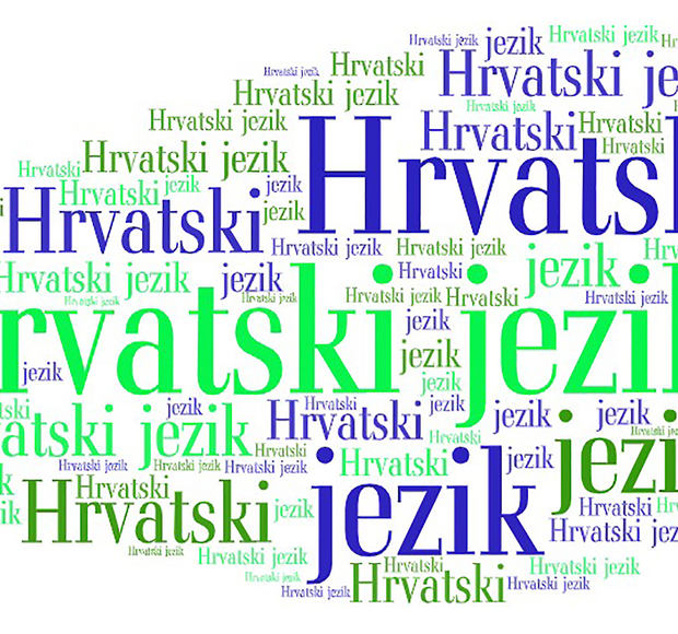 Treba li srediti definiciju raznovrsnosti naziva hrvatski jezik?