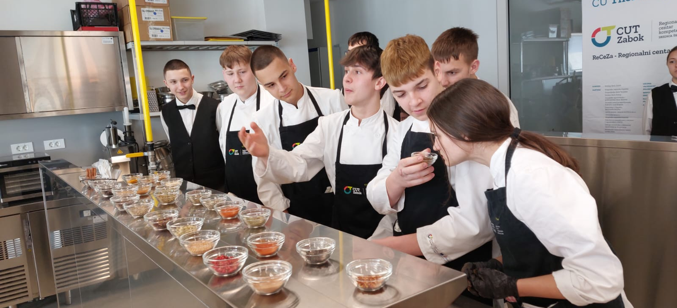 Problem je organizacija nastave i financiranje