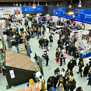 Velik interes za nova zanimanja poput – groominga