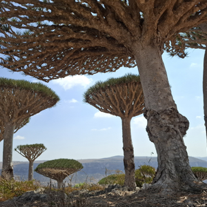 „Zaglavili smo na otoku, dobro smo, čekamo datum povratka u Hrvatsku“