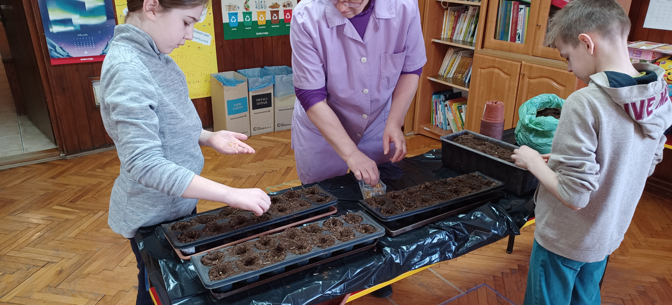 Ljekoviti eko-etno vrt 