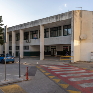 Korijeni u tradiciji, pogled u budućnost