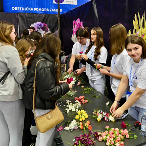 Velik interes za nova zanimanja poput – groominga