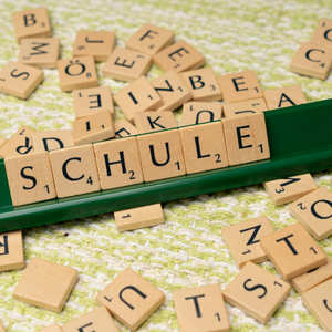 Inkluzivno poučavanje njemačkog jezika