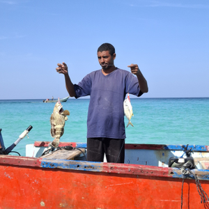 Grupa Maje Mačinko napokon se vratila s egzotičnog otoka