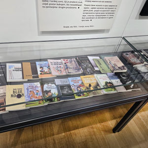 Važnost književnoga prevođenja