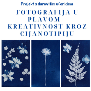 Bogat filmski program za sve generacije